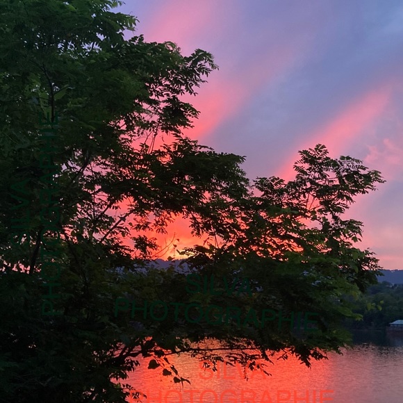 The Silva Family. - Picture 8 of 12